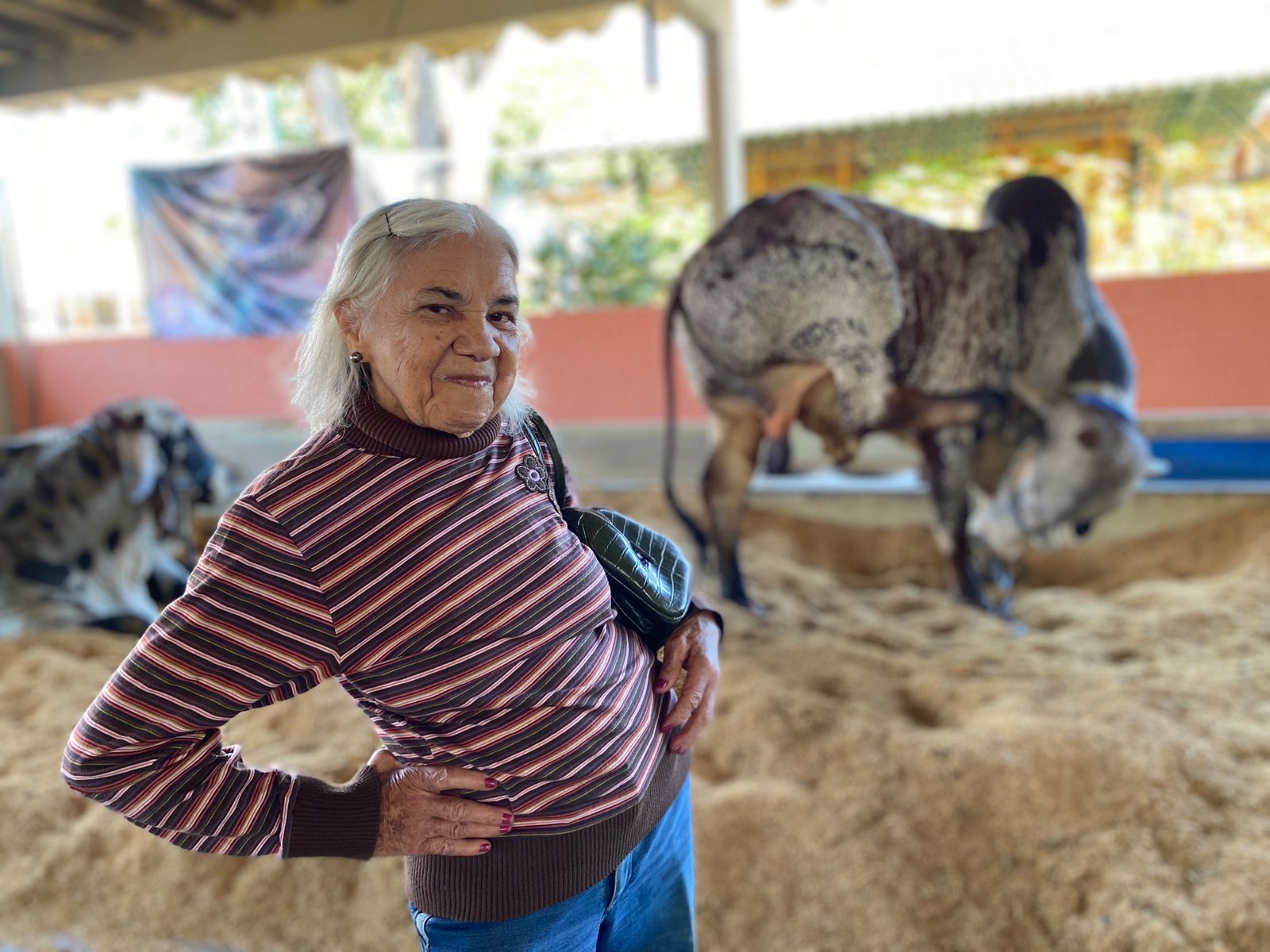 Moradores do Sagrada Família e da Vila Vida conheceram de perto a estrutura montada para a 76ª Exposição Agropecuária de Goiás. A atividade, que se soma ao Goiás Social, coordenado pela primeira-dama do Estado, Gracinha Caiado, visou agregar, sociabilizar e valorizar a autoestima dos idosos